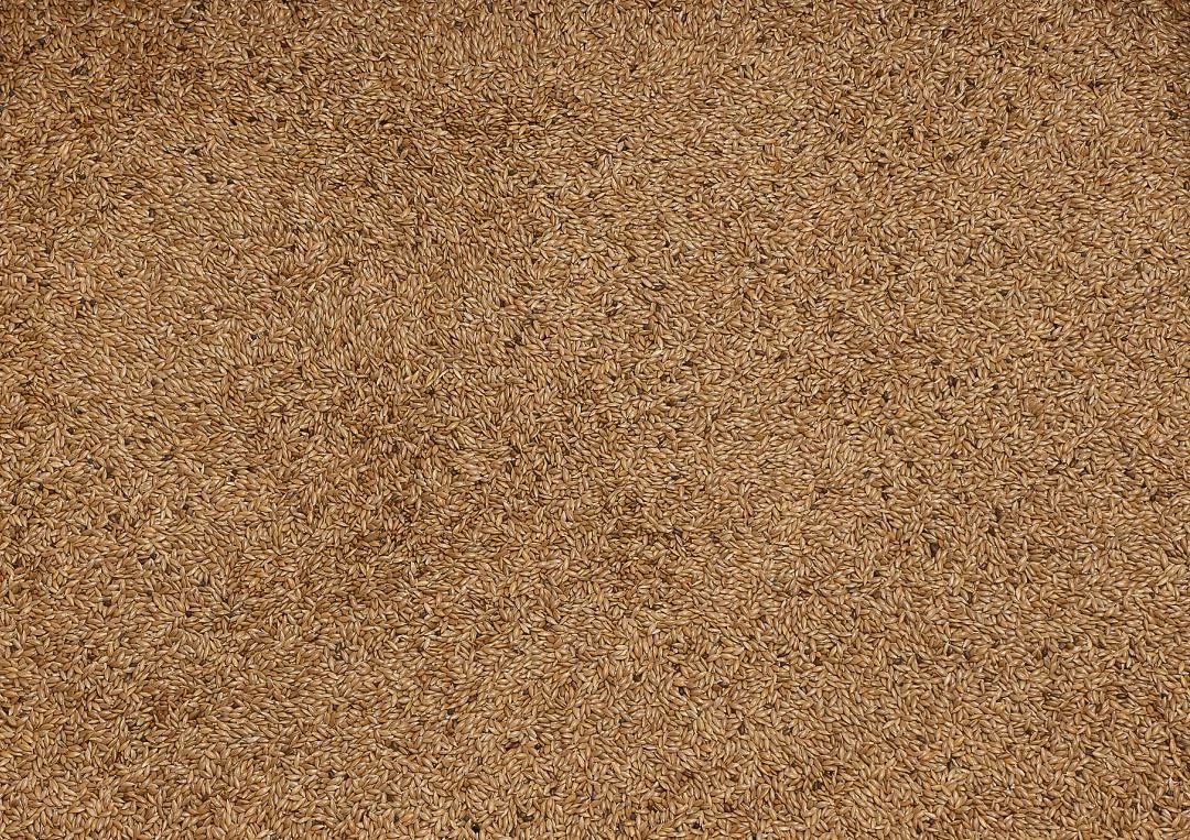 Deli Nature Witzaad - Kanariezaad 20 Kg 2 Deli Nature Witzaad - Kanariezaad 20 Kg - Afbeelding 2