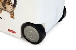 Curver Voedselcontainer Kat 35 Ltr -Exporteren AvoDierenRuiter winkel 0412026 det5