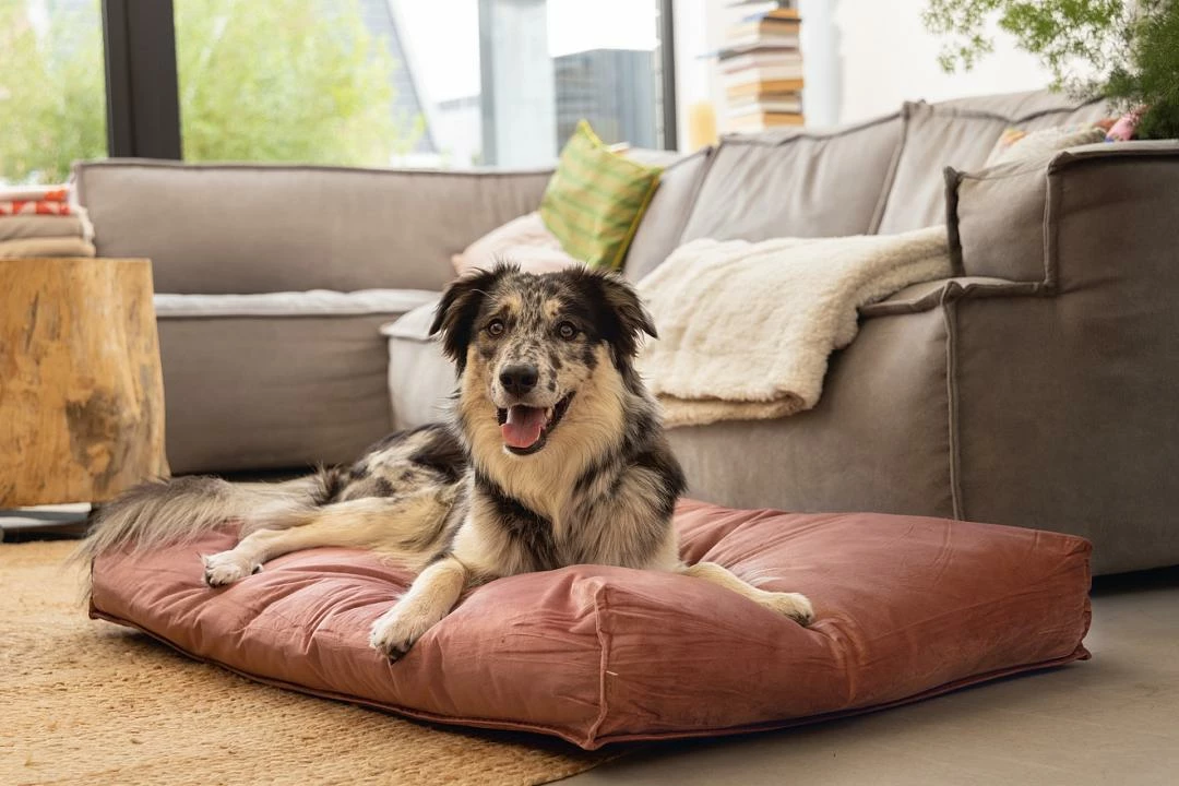 Designed By Lotte Ligkussen Nalino Roze 2 Designed By Lotte Ligkussen Nalino Roze - Afbeelding 2