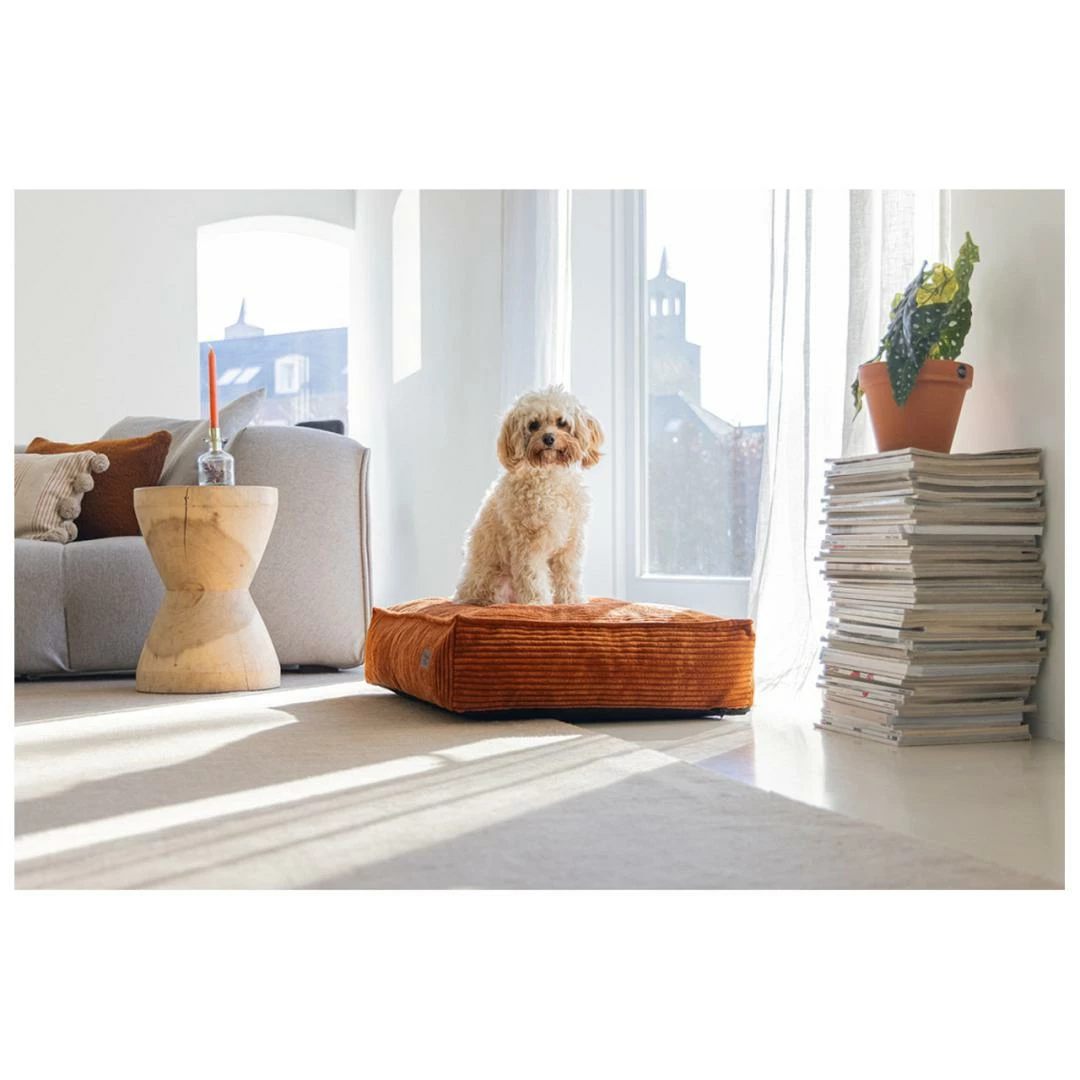 Designed By Lotte Hondenkussen Ribbed Terracotta 3 Designed By Lotte Hondenkussen Ribbed Terracotta - Afbeelding 3