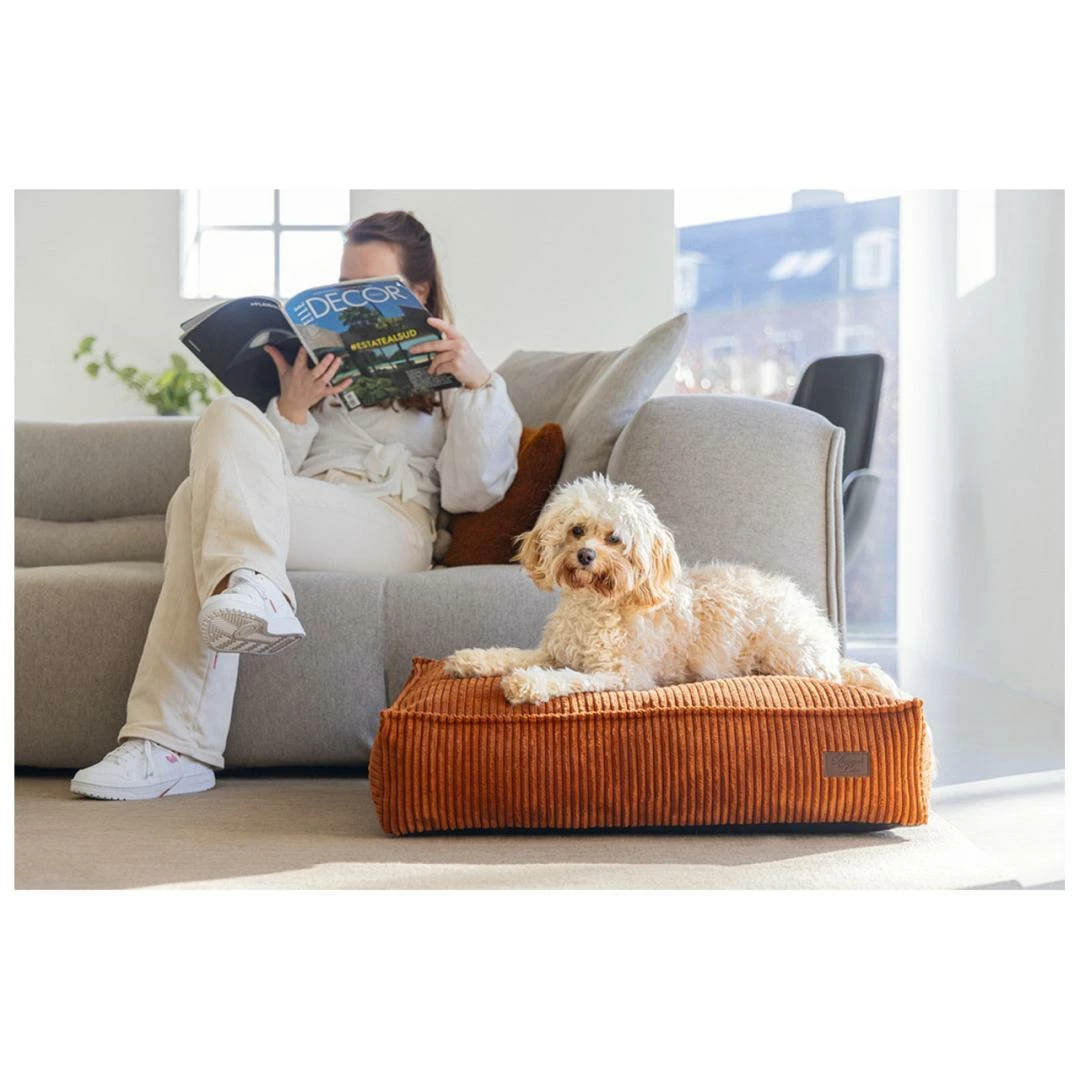 Designed By Lotte Hondenkussen Ribbed Terracotta 4 Designed By Lotte Hondenkussen Ribbed Terracotta - Afbeelding 4