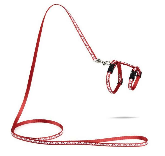 Beeztees Kittentuig Hearts 1 Beeztees Kittentuig Hearts