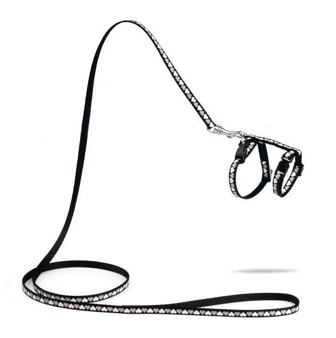 Beeztees Kittentuig Hearts 7 Beeztees Kittentuig Hearts - Afbeelding 7