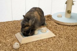 Beeztees Braingame Ballira Mint 7 Beeztees Braingame Ballira Mint -Exporteren AvoDierenRuiter winkel 0811115 sfeer1