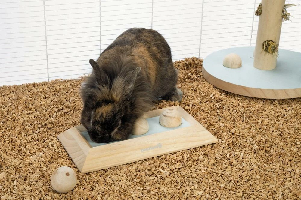 Beeztees Braingame Ballira Mint 4 Beeztees Braingame Ballira Mint - Afbeelding 4