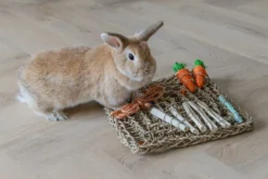 Beeztees Knaagdierspeelmat Nature -Exporteren AvoDierenRuiter winkel 0811182 sfeer2