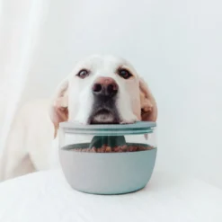 District 70 Treat Jar Ice Blue -Exporteren AvoDierenRuiter winkel 2J8A7537 1