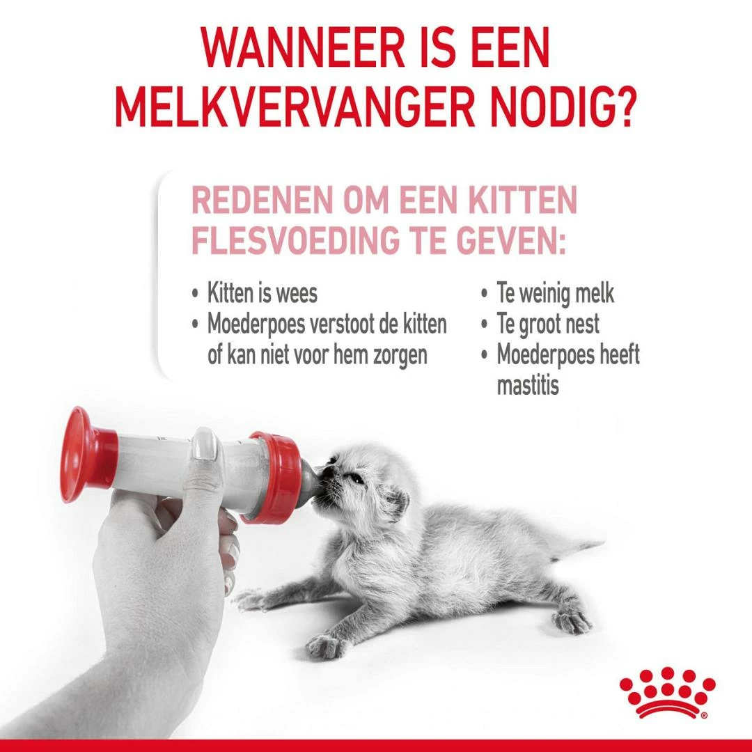 Royal Canin Kattenvoer Babycat Milk 300 Gr 2 Royal Canin Kattenvoer Babycat Milk 300 Gr - Afbeelding 2