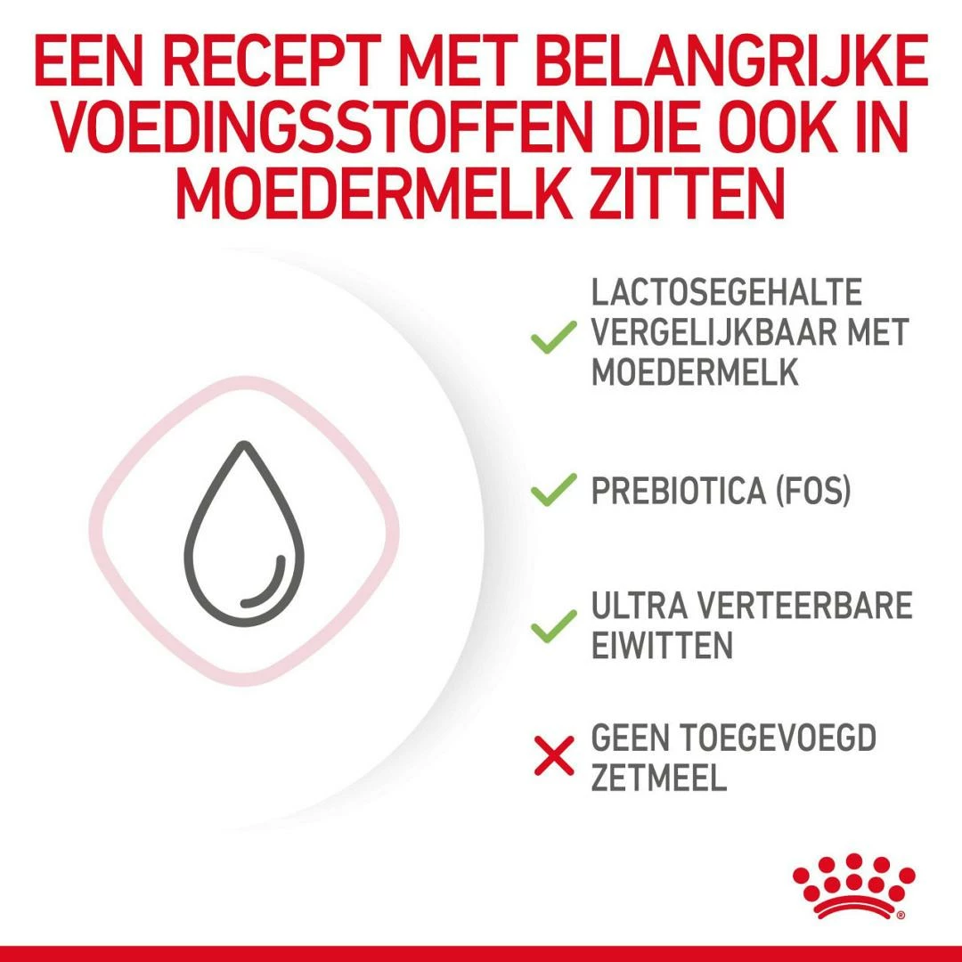 Royal Canin Kattenvoer Babycat Milk 300 Gr 3 Royal Canin Kattenvoer Babycat Milk 300 Gr - Afbeelding 3