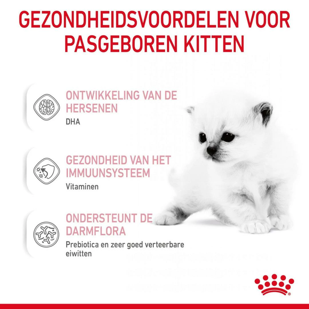 Royal Canin Kattenvoer Babycat Milk 300 Gr 4 Royal Canin Kattenvoer Babycat Milk 300 Gr - Afbeelding 4