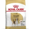 Royal Canin Hondenvoer Beagle Adult 3 Kg