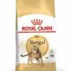 Royal Canin Kattenvoer Bengal Adult 2 Kg