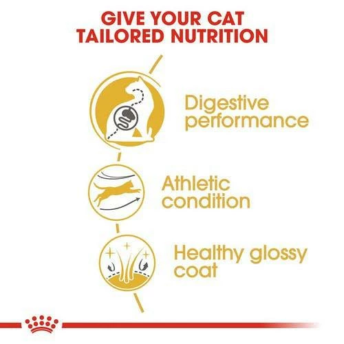 Royal Canin Kattenvoer Bengal Adult 2 Kg 2 Royal Canin Kattenvoer Bengal Adult 2 Kg - Afbeelding 2