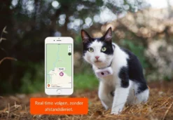 Weenect Cats 2 GPS Tracker 7 Weenect Cats 2 GPS Tracker -Exporteren AvoDierenRuiter winkel 37700003001094