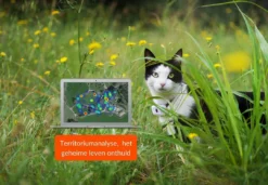 Weenect Cats 2 GPS Tracker 6 Weenect Cats 2 GPS Tracker -Exporteren AvoDierenRuiter winkel 37700003001096