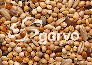 Garvo Parkiet Extra 20 Kg 2 Garvo Parkiet Extra 20 Kg - Afbeelding 2