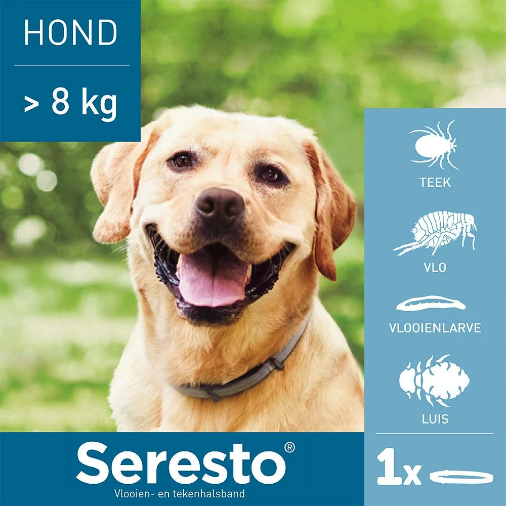 Seresto Band Voor Grote Honden 2 Seresto Band Voor Grote Honden - Afbeelding 2