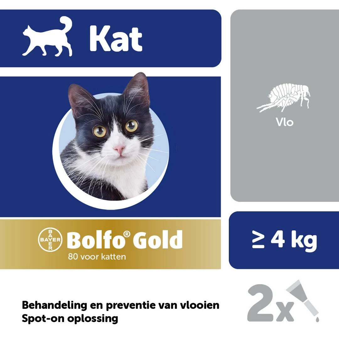 Bolfo Gold 80 Kat 2 Pipetten 2 Bolfo Gold 80 Kat 2 Pipetten - Afbeelding 2