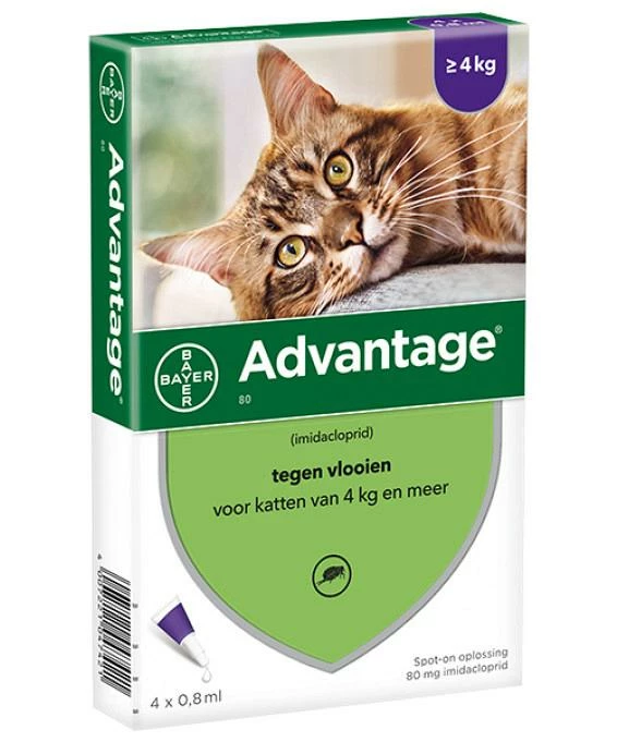 Advantage Kat 80 4 Pipetten 1 Advantage Kat 80 4 Pipetten