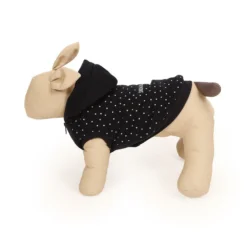 51 Degrees North Hondentrui Snow Much Fun