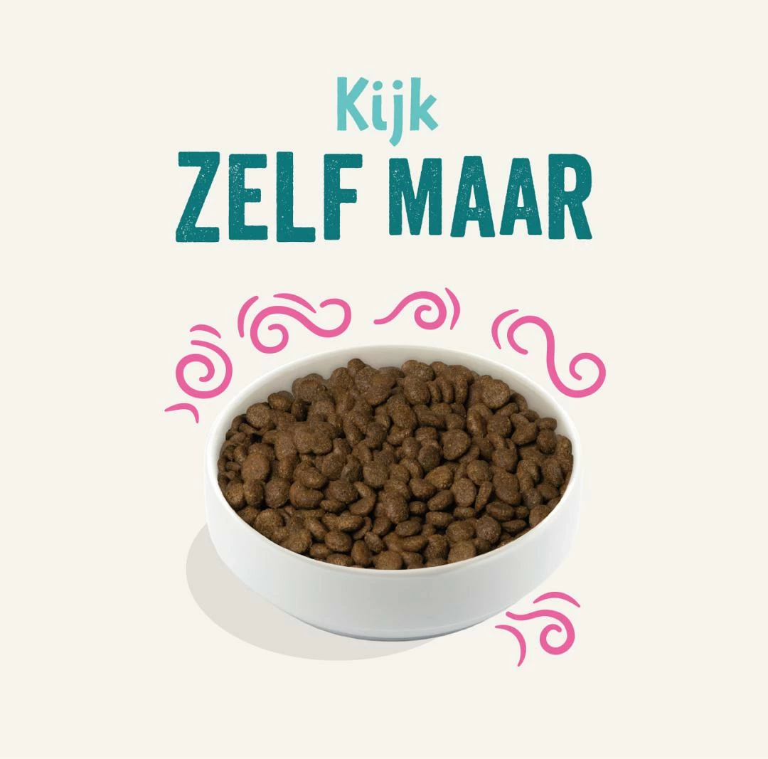 Edgard & Cooper Adult Plantaardig Rode Biet 2,5 Kg 2 Edgard & Cooper Adult Plantaardig Rode Biet 2,5 Kg - Afbeelding 2