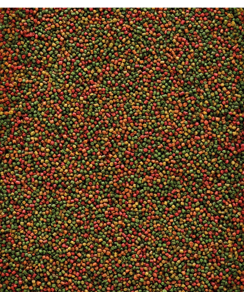 Versele-Laga NutriBird C15 10 Kg 2 Versele-Laga NutriBird C15 10 Kg - Afbeelding 2