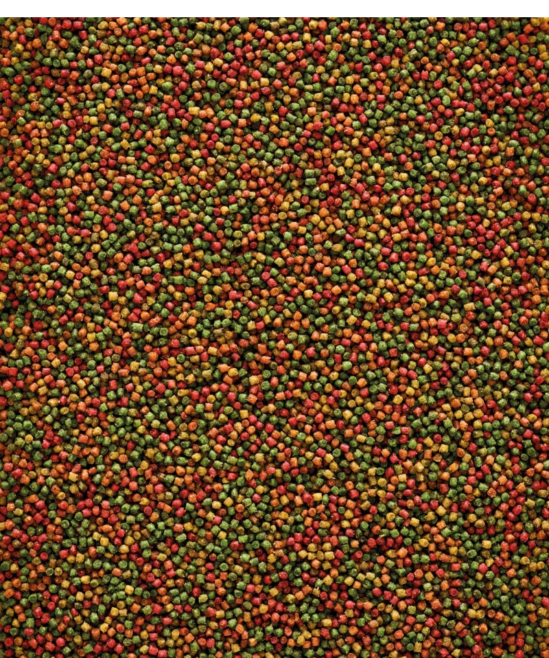 Versele-Laga NutriBird C19 10 Kg 2 Versele-Laga NutriBird C19 10 Kg - Afbeelding 2