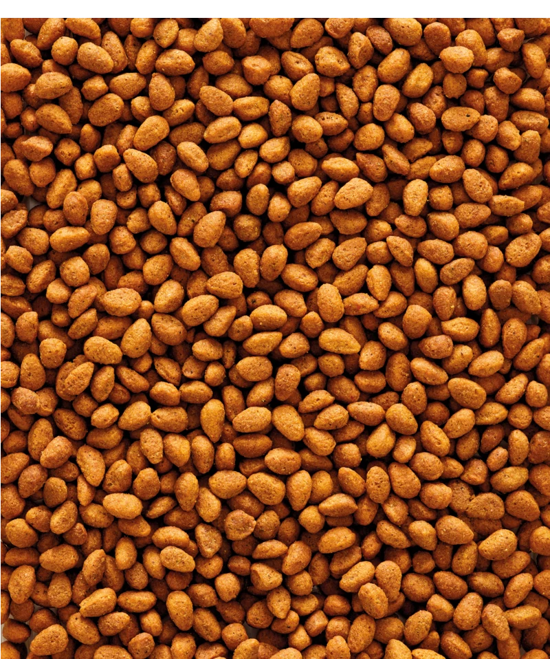 Versele-Laga NutriBird G14 Original 10 Kg 2 Versele-Laga NutriBird G14 Original 10 Kg - Afbeelding 2