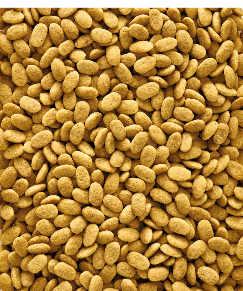 Versele-Laga NutriBird P15 Original 10 Kg 2 Versele-Laga NutriBird P15 Original 10 Kg - Afbeelding 2