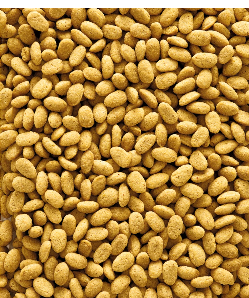 Versele-Laga NutriBird P19 Original 10 Kg 2 Versele-Laga NutriBird P19 Original 10 Kg - Afbeelding 2