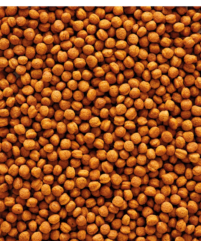 Versele-Laga NutriBird T16 10 Kg 2 Versele-Laga NutriBird T16 10 Kg - Afbeelding 2