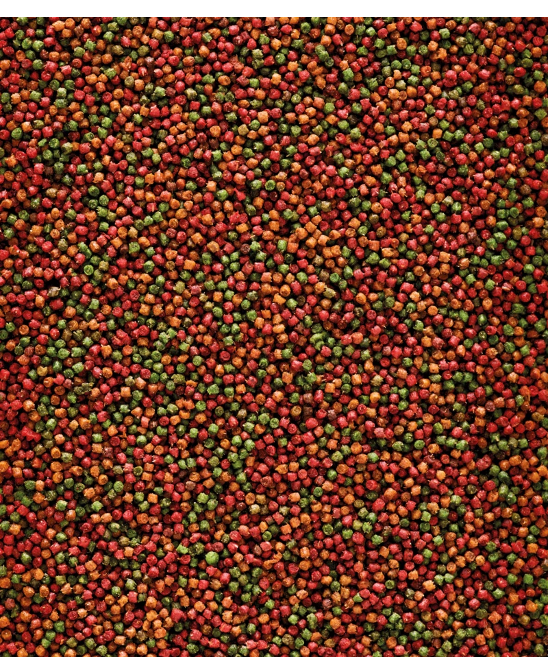 Versele-Laga NutriBird Uni Komplet 3 Kg 2 Versele-Laga NutriBird Uni Komplet 3 Kg - Afbeelding 2