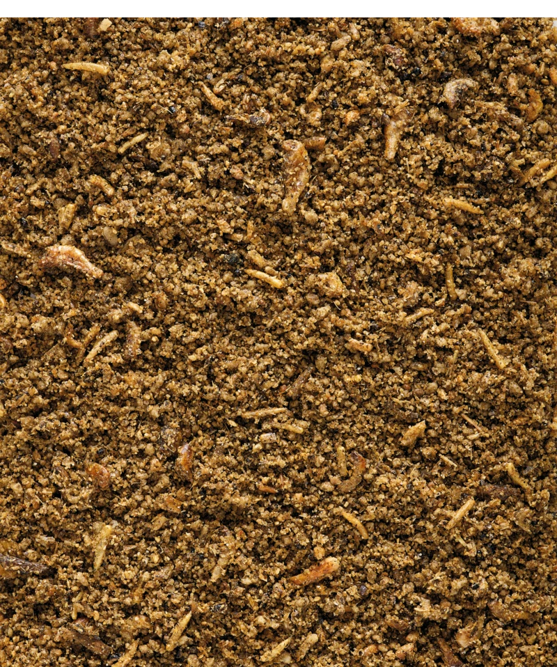 Versele-Laga NutriBird Insect Patee 1 Kg 2 Versele-Laga NutriBird Insect Patee 1 Kg - Afbeelding 2