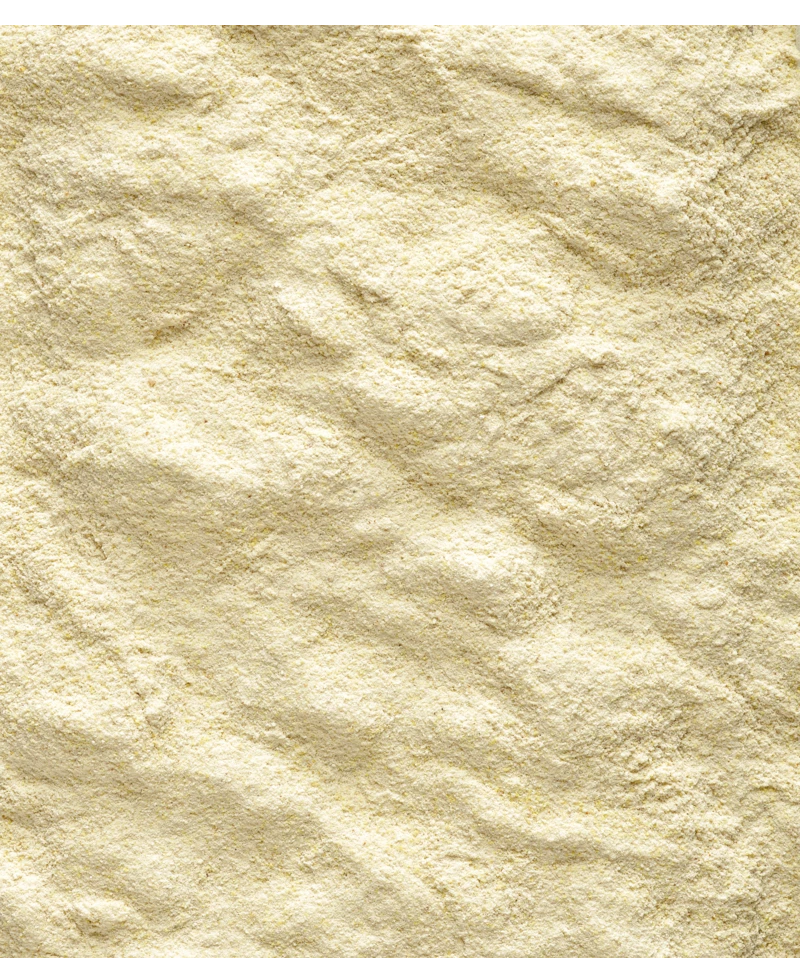 Versele-Laga NutriBird A19 3 Kg 2 Versele-Laga NutriBird A19 3 Kg - Afbeelding 2