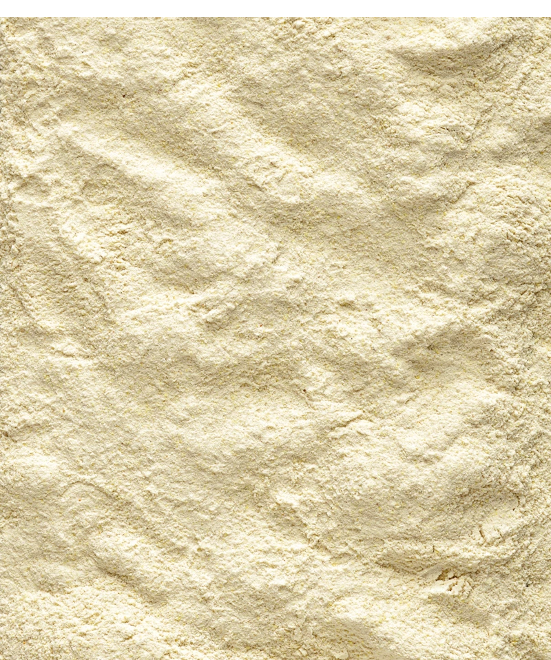 Versele-Laga NutriBird A21 3 Kg 2 Versele-Laga NutriBird A21 3 Kg - Afbeelding 2