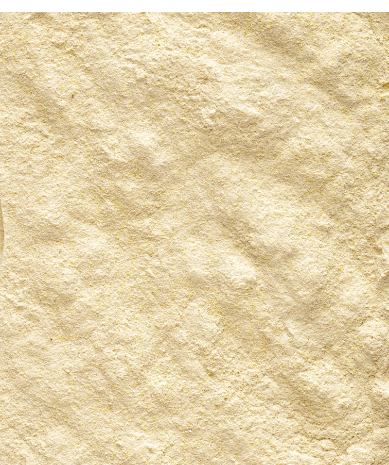 Versele-Laga NutriBird Handmix Opfokvoer 500 Gr 2 Versele-Laga NutriBird Handmix Opfokvoer 500 Gr - Afbeelding 2