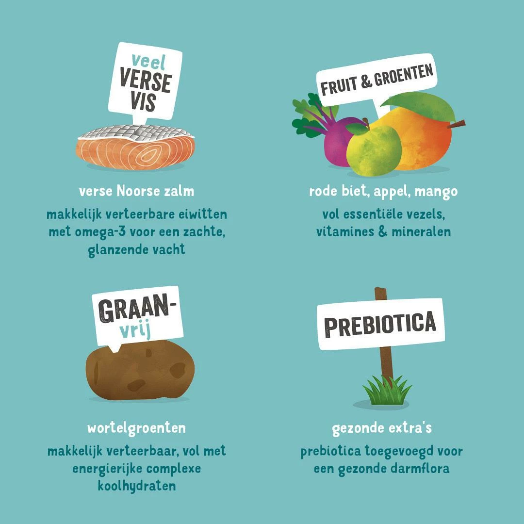 Edgard & Cooper Hondenvoer Adult Noorse Zalm 2,5 Kg 3 Edgard & Cooper Hondenvoer Adult Noorse Zalm 2,5 Kg - Afbeelding 3