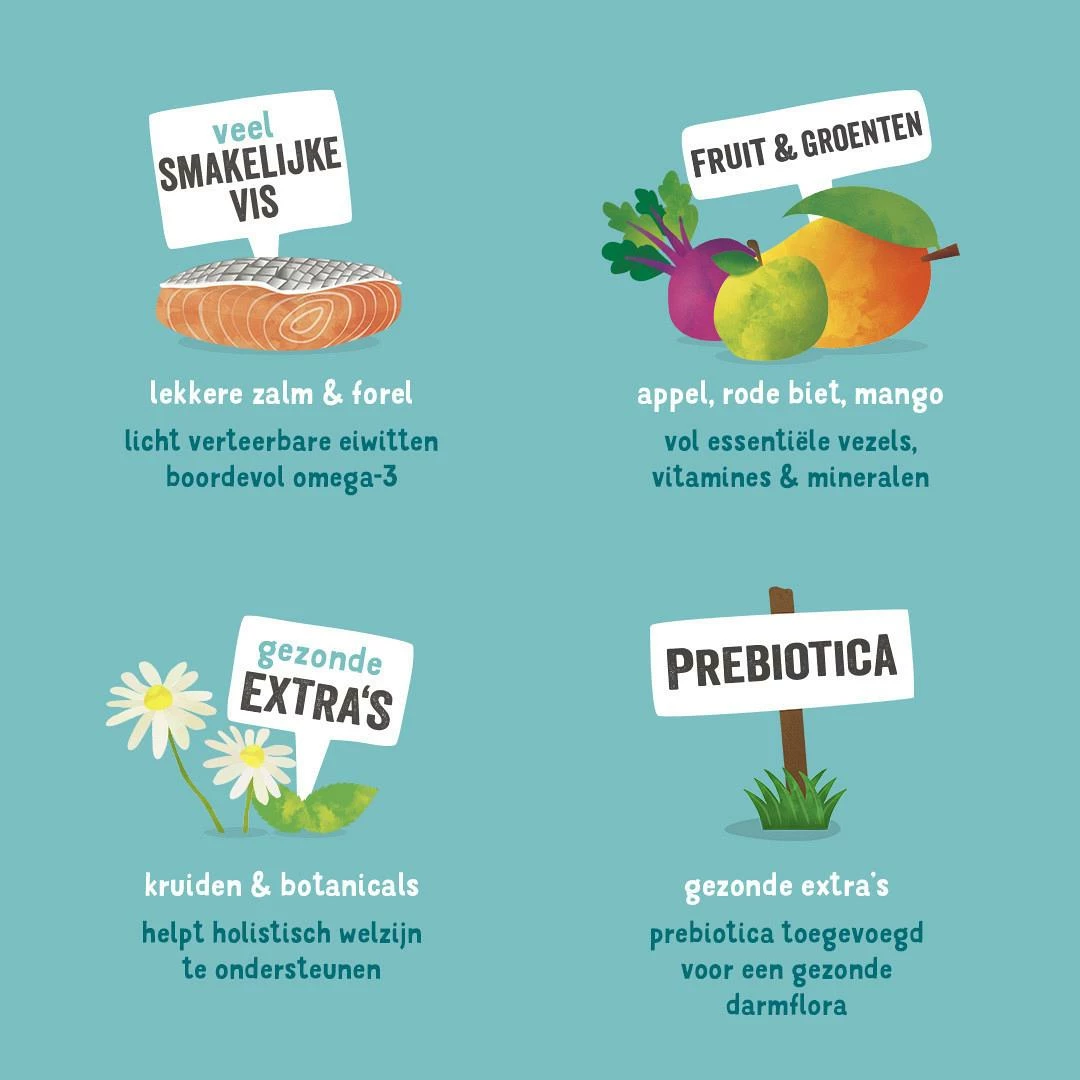 Edgard & Cooper Hondenvoer Adult Zalm En Forel 400 Gr 2 Edgard & Cooper Hondenvoer Adult Zalm En Forel 400 Gr - Afbeelding 2