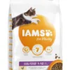 IAMS Kattenvoer Kitten Chicken 3 Kg