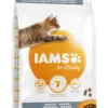 IAMS Kattenvoer Adult Indoor Chicken 3 Kg
