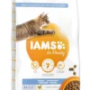 IAMS Kattenvoer Adult Dental Chicken 10 Kg