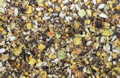 Papegaaienvoer Pepers 15 Kg 5 Papegaaienvoer Pepers 15 Kg -Exporteren AvoDierenRuiter winkel 8715207005544 2