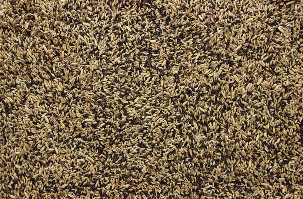 Zangzaad I 20 Kg 3 Zangzaad I 20 Kg - Afbeelding 3