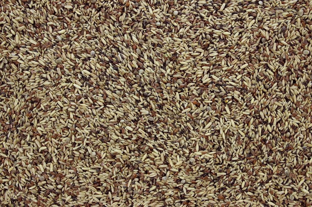 Wildzangzaad 20 Kg 3 Wildzangzaad 20 Kg - Afbeelding 3