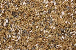 Grote Parkiet - Valkparkiet 20 Kg -Exporteren AvoDierenRuiter winkel 8715207100218 2