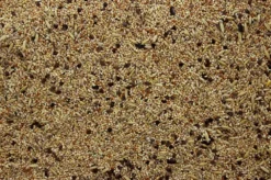 Agapornis - Grote Parkiet Zonder Zonnepitten 20 Kg -Exporteren AvoDierenRuiter winkel 8715207100270 2