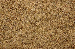 Tropischzaad I 20 Kg 5 Tropischzaad I 20 Kg -Exporteren AvoDierenRuiter winkel 8715207100317 2