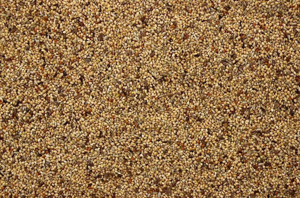 Tropischzaad I 20 Kg 3 Tropischzaad I 20 Kg - Afbeelding 3