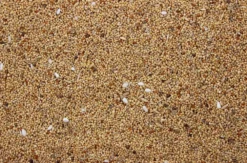 Parkietenzaad 20 Kg -Exporteren AvoDierenRuiter winkel 8715207100416 2