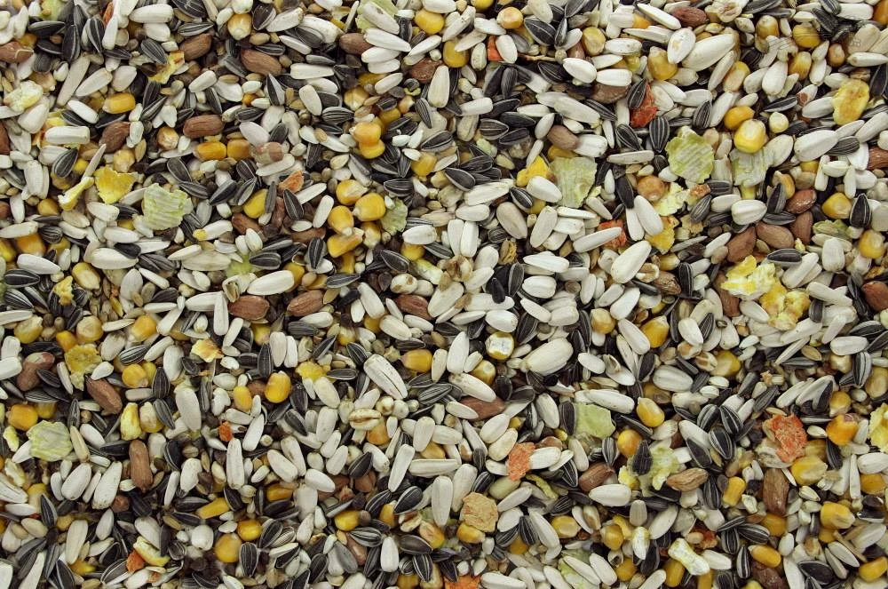 Papegaaienvoer 12,5 Kg 3 Papegaaienvoer 12,5 Kg - Afbeelding 3